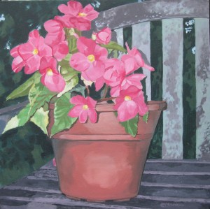 Begonias, 2011