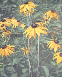 Black Eyed Susans, 2011