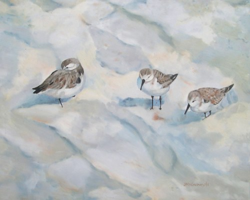 Sand Pipers Florida, 2011