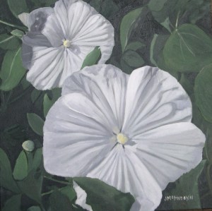 White Hibiscus, 2011, 12 x 12 