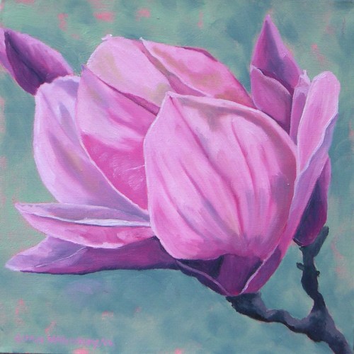Magnolia # 3 2012