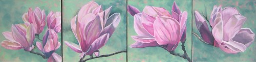 Magnolias x 4 2012