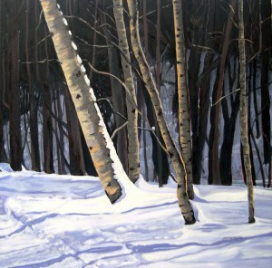 Birches in Winter, 2012, 30 x 30, Oil on Canvas