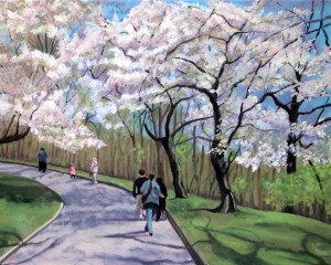 Cherry Blossoms #1, 2012, 20 x 16, Oil on canvas