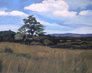 Mulmar Hills No, 2 2012, 20 x 16 oil on canvas