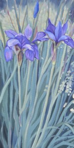 Blue Flag Irises 2013 10x20