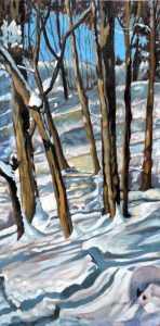 Snow Shadows 2013 15x30