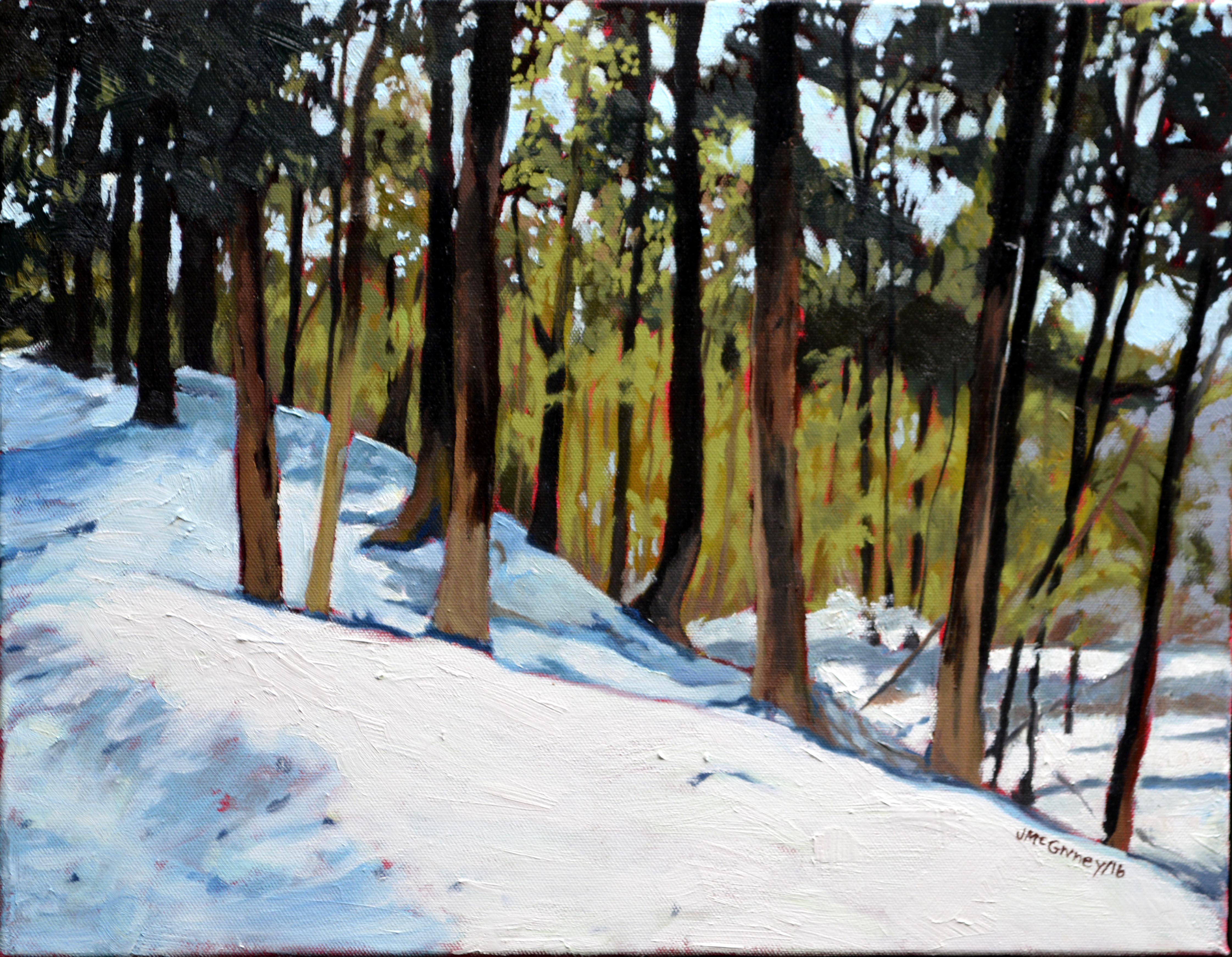 A January Afternoon  18 x 14 2016