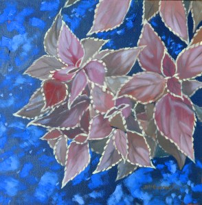 Coleus 2014 12 x 12 web