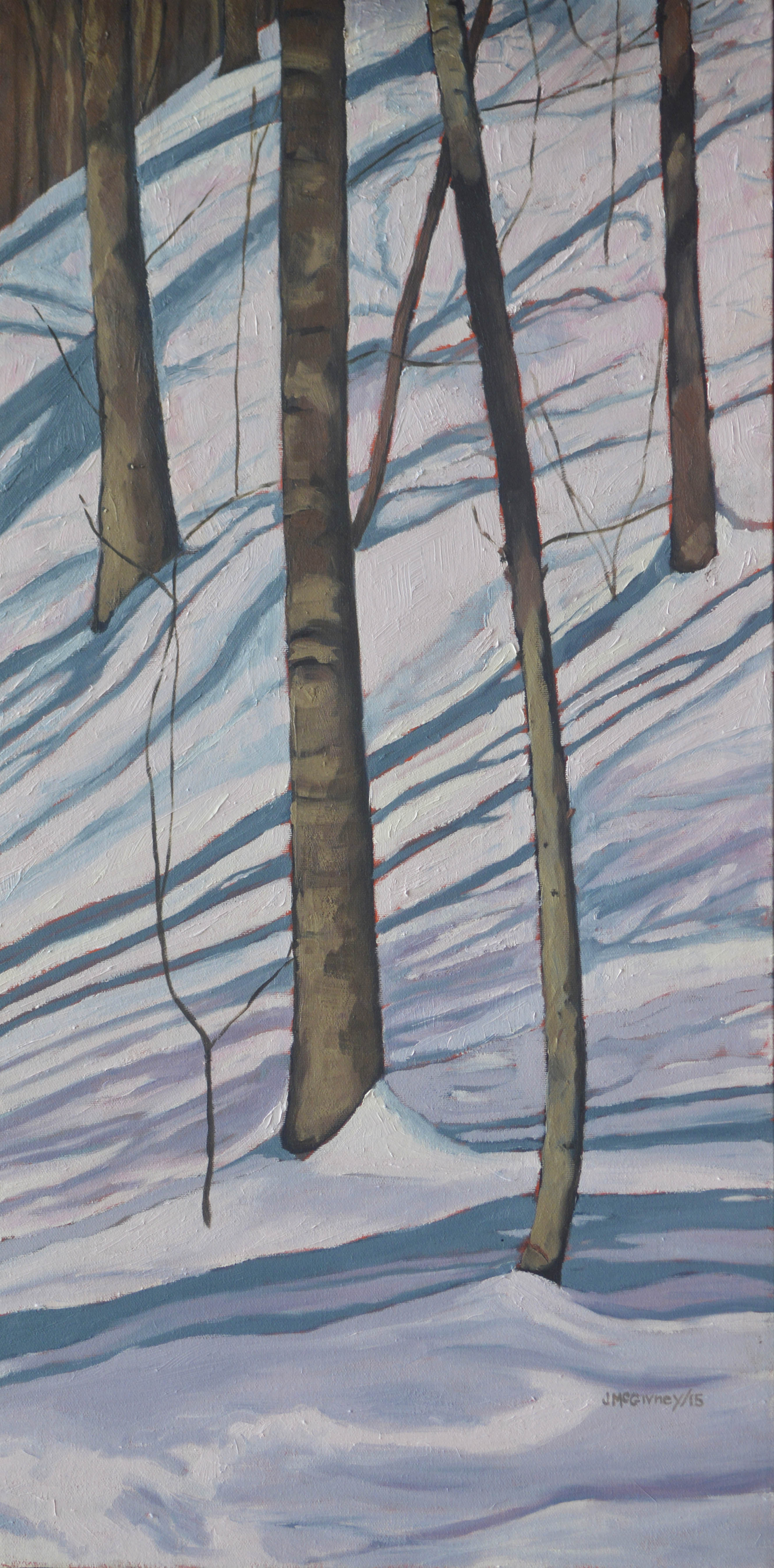 Snow Shadpws No 2 2015 b med