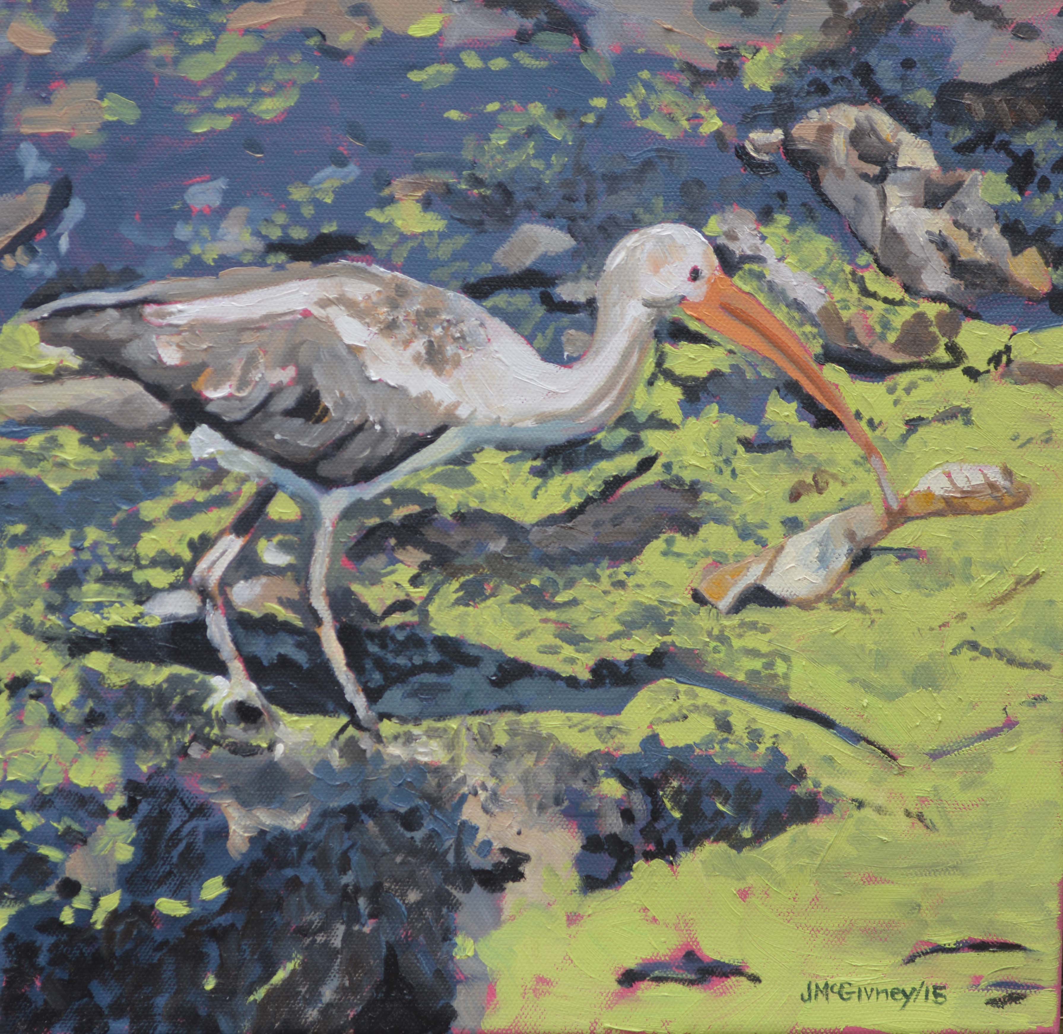 Ibis Series 1  Camoflauge 12 x12 2015 - Copy