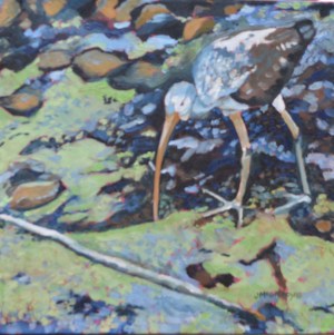 Ibis Series 2  Camoflauge 12 x12 2015 - Copy