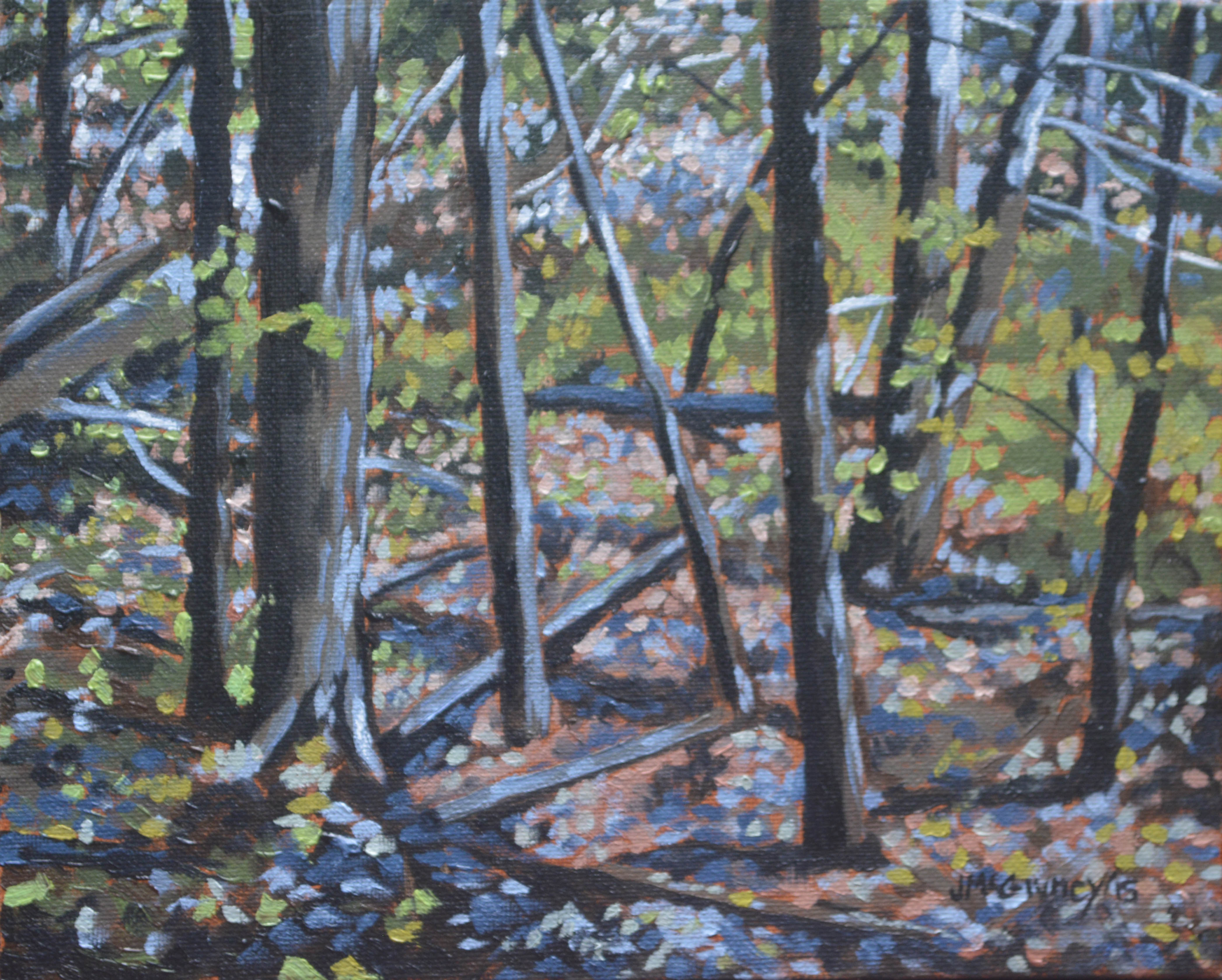 Autumn Woods 2015 a med