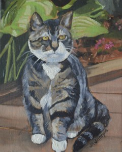 Our Cat Deja sitting on the Patio