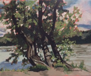 View from Passau 8 x 10 2017