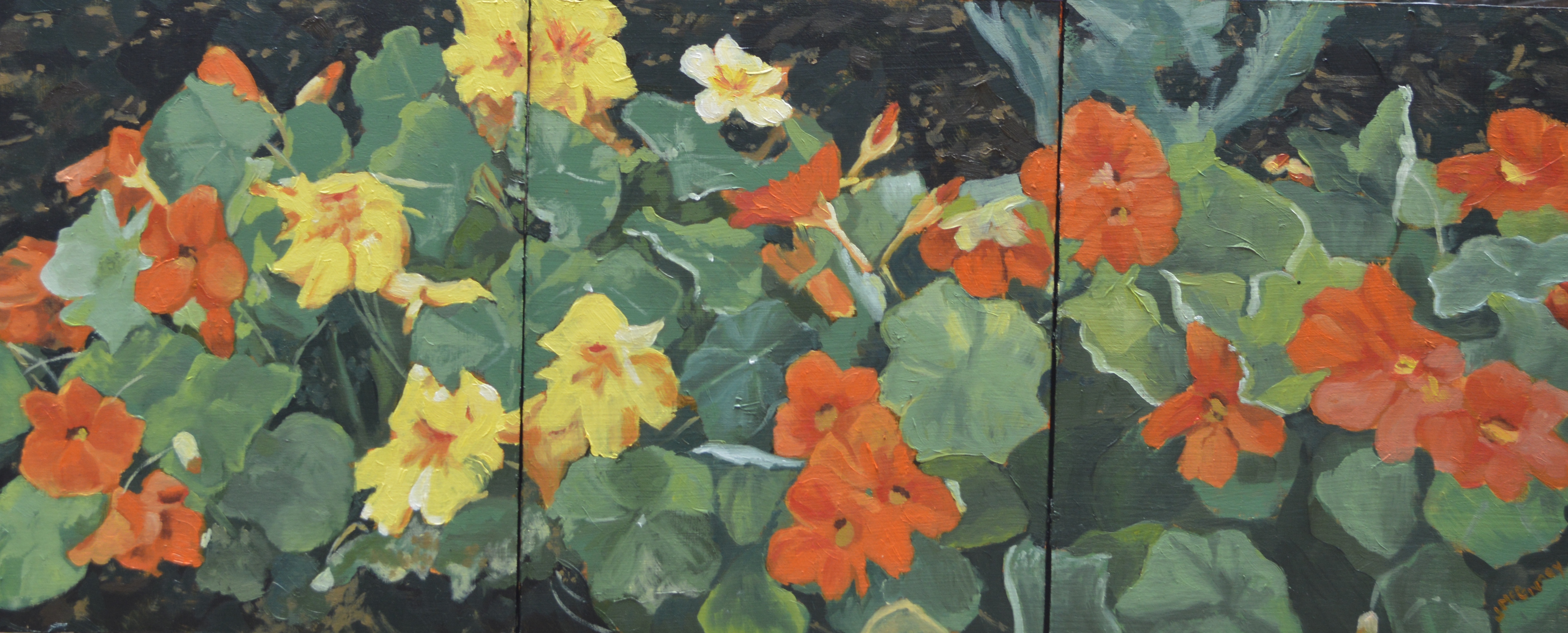 Triptych Nasturiums 1