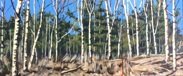Birches Triptych 3 times 8x10